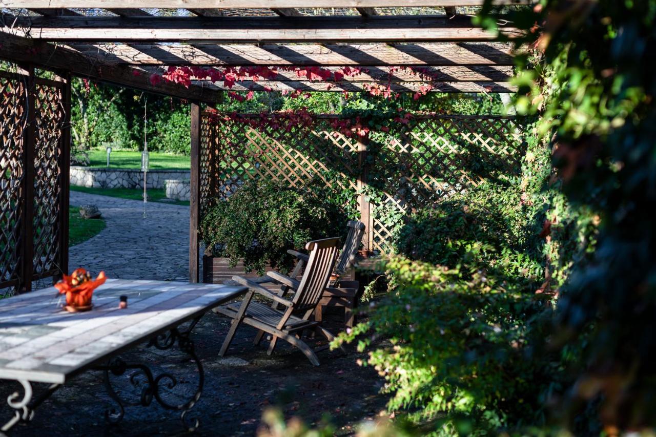 Le Fontanelle Apartment Bagnoregio Bagian luar foto