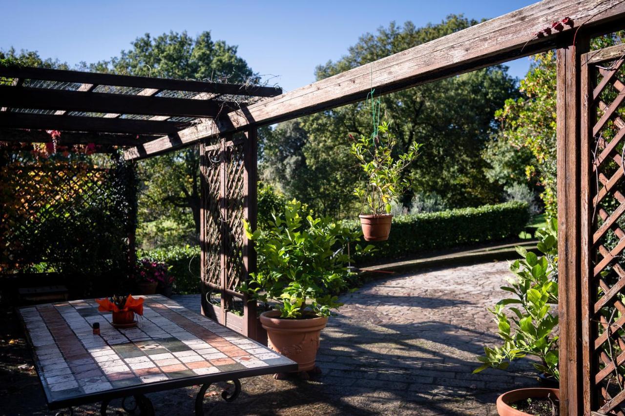 Le Fontanelle Apartment Bagnoregio Bagian luar foto